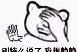 集贤要账公司更多成功案例详情